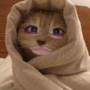 ヒメ日記 2026/03/26 21:41 投稿 リゼ バニーコレクション新潟店