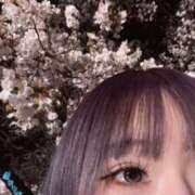 ヒメ日記 2026/04/08 08:38 投稿 リゼ バニーコレクション新潟店