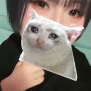 ヒメ日記 2026/06/05 14:05 投稿 リゼ バニーコレクション新潟店