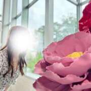 ヒメ日記 2025/12/13 00:38 投稿 なの FResh(素人・可愛い)都城店