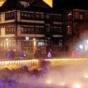 ヒメ日記 2025/12/11 11:36 投稿 つばき 大宮おかあさん