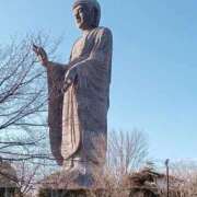 つばき おはようございます💞 大宮おかあさん