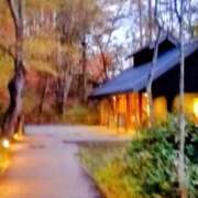 ヒメ日記 2025/12/12 12:28 投稿 つばき 川越おかあさん