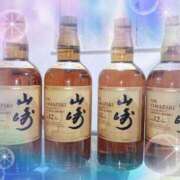 ヒメ日記 2026/03/28 11:20 投稿 つばき 川越おかあさん