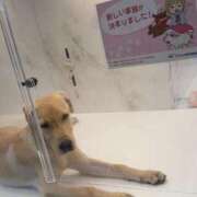 おいち♪ よかよか🌼 水色りぼん