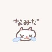 ヒメ日記 2025/12/29 06:34 投稿 ナツメ MOMO(モモ)