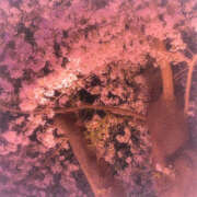 ヒメ日記 2026/04/08 19:11 投稿 みゆ 性春放課後スクワット五反田編