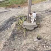 ヒメ日記 2026/04/07 14:08 投稿 森高ゆりあ 断りきれない美人マッサージ嬢たち