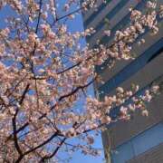 ヒメ日記 2026/04/07 16:10 投稿 森高ゆりあ 断りきれない美人マッサージ嬢たち