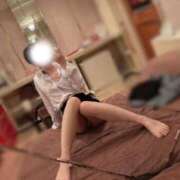 ヒメ日記 2025/12/22 08:06 投稿 ねこ 東京妻next (京都グループ)