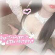 ヒメ日記 2025/12/17 10:19 投稿 はな アクアマリン