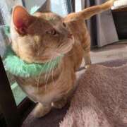 ヒメ日記 2026/01/19 23:08 投稿 柊このは ウフフな40。ムフフな50。。（横浜ハレ系）