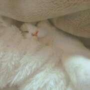 柊このは ネコテロ ウフフな40。ムフフな50。。（横浜ハレ系）