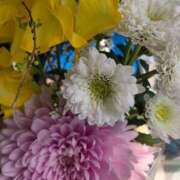 ヒメ日記 2026/03/09 23:02 投稿 柊このは ウフフな40。ムフフな50。。（横浜ハレ系）