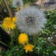 柊このは 春はこんなところにも… ウフフな40。ムフフな50。。（横浜ハレ系）