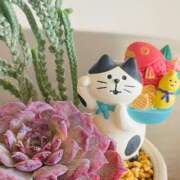 すみれ 🎍HAPPY NEW YEAR🎍 松本人妻隊