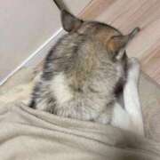 ヒメ日記 2025/12/13 11:23 投稿 船渡めいさ ミスターダンディー