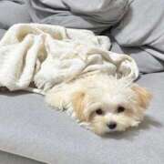 ヒメ日記 2025/12/14 14:43 投稿 船渡めいさ ミスターダンディー