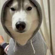 ヒメ日記 2025/12/25 07:43 投稿 船渡めいさ ミスターダンディー