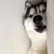 ヒメ日記 2025/12/27 18:43 投稿 船渡めいさ ミスターダンディー