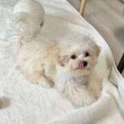 ヒメ日記 2026/01/07 08:53 投稿 船渡めいさ ミスターダンディー