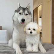 ヒメ日記 2026/01/11 10:13 投稿 船渡めいさ ミスターダンディー