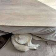 ヒメ日記 2026/01/11 16:23 投稿 船渡めいさ ミスターダンディー