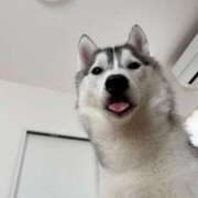 ヒメ日記 2026/01/12 04:43 投稿 船渡めいさ ミスターダンディー