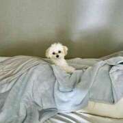 ヒメ日記 2026/01/13 05:53 投稿 船渡めいさ ミスターダンディー