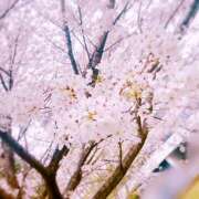 ヒメ日記 2026/04/01 12:32 投稿 御堂志月 大阪人妻花壇