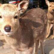 ヒメ日記 2025/12/10 13:24 投稿 さき 恋色 (コイイロ)