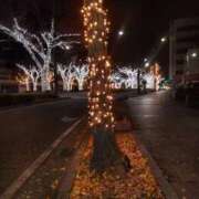 ヒメ日記 2025/12/11 11:34 投稿 さき 恋色 (コイイロ)