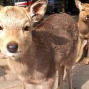 さき おはようございます！ 恋色 (コイイロ)