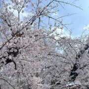 ヒメ日記 2026/03/31 08:35 投稿 MINA『ミナ』 GG