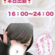 ヒメ日記 2026/02/02 15:29 投稿 大石 BBW（ビッグビューティフルウーマン）