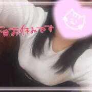 ヒメ日記 2026/02/21 15:25 投稿 あやめ 川崎・東横人妻城