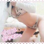 ヒメ日記 2026/02/24 10:44 投稿 あやめ 川崎・東横人妻城