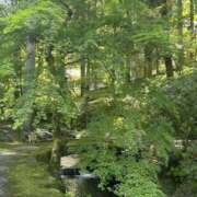 愛沢せな 〔 自己紹介 〕 熟女パラダイス岐阜羽島店（カサブランカグループ）