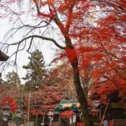 ヒメ日記 2026/02/05 10:59 投稿 愛沢せな 熟女パラダイス岐阜羽島店（カサブランカグループ）