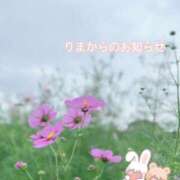 ヒメ日記 2026/02/19 18:30 投稿 りま 千葉人妻セレブリティ（ユメオト）