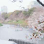 ヒメ日記 2026/04/03 11:00 投稿 りま 千葉人妻セレブリティ（ユメオト）