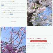 ヒメ日記 2026/04/05 11:01 投稿 りま 千葉人妻セレブリティ（ユメオト）