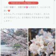 ヒメ日記 2026/04/10 21:10 投稿 りま 千葉人妻セレブリティ（ユメオト）