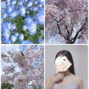 ヒメ日記 2026/04/19 10:30 投稿 りま 千葉人妻セレブリティ（ユメオト）