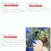ヒメ日記 2026/05/09 11:01 投稿 りま 千葉人妻セレブリティ（ユメオト）