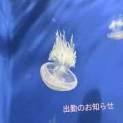 ヒメ日記 2026/07/31 10:01 投稿 りま 千葉人妻セレブリティ（ユメオト）
