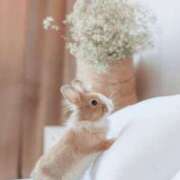 ヒメ日記 2026/01/08 20:49 投稿 かりん 素人妻御奉仕倶楽部Hip's松戸店