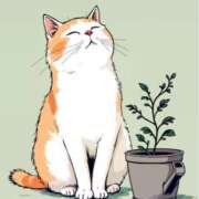 ヒメ日記 2026/01/10 12:25 投稿 かりん 素人妻御奉仕倶楽部Hip's松戸店