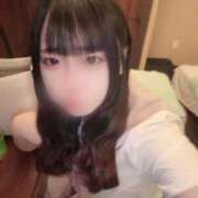 かの 本日 ナチュラルプリンセス