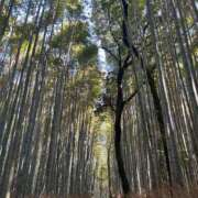 ヒメ日記 2026/01/20 13:42 投稿 川口こころ 渋谷ガーデン